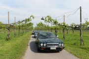 Le Jaguar nella zona del Prosecco e Cartize (129/152)